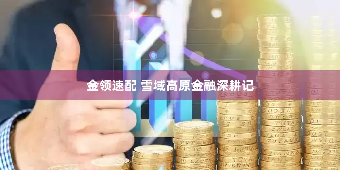 金领速配 雪域高原金融深耕记