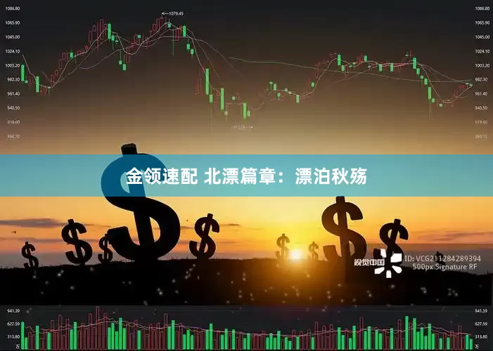 金领速配 北漂篇章：漂泊秋殇