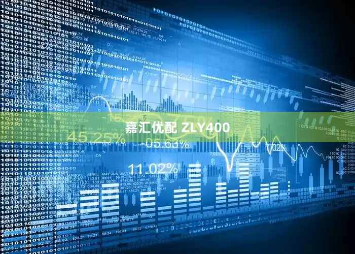 嘉汇优配 ZLY400